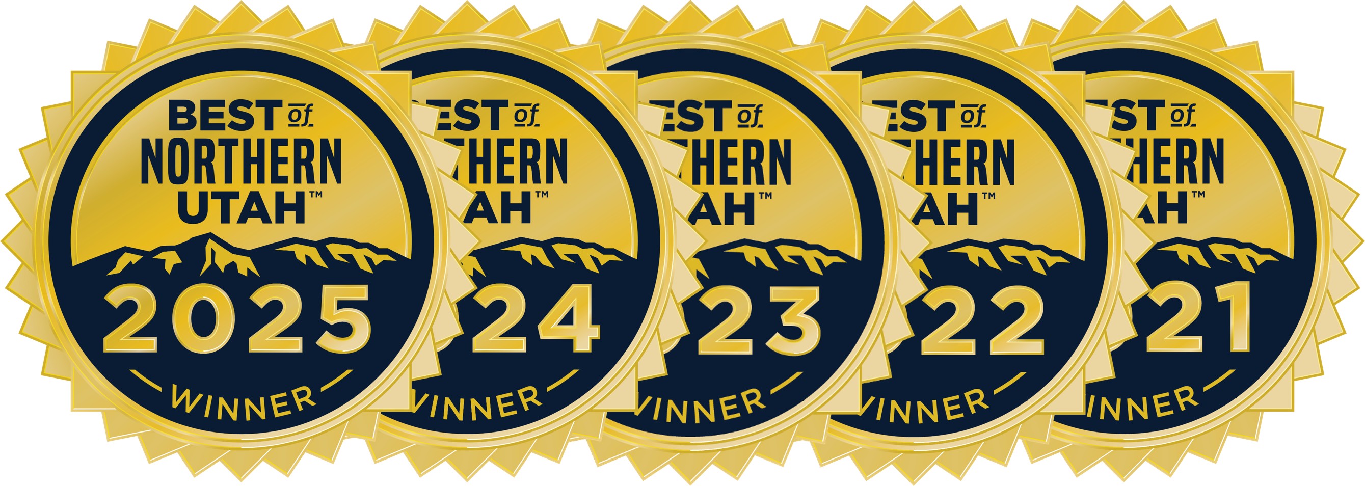 5 Year Badge